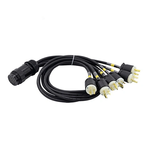 1meter 19 PIN 2.5mm2 Socapex Edison 3 Break-IN